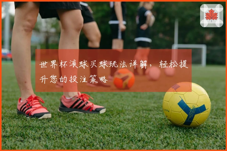 世界杯滚球买球玩法详解，轻松提升您的投注策略