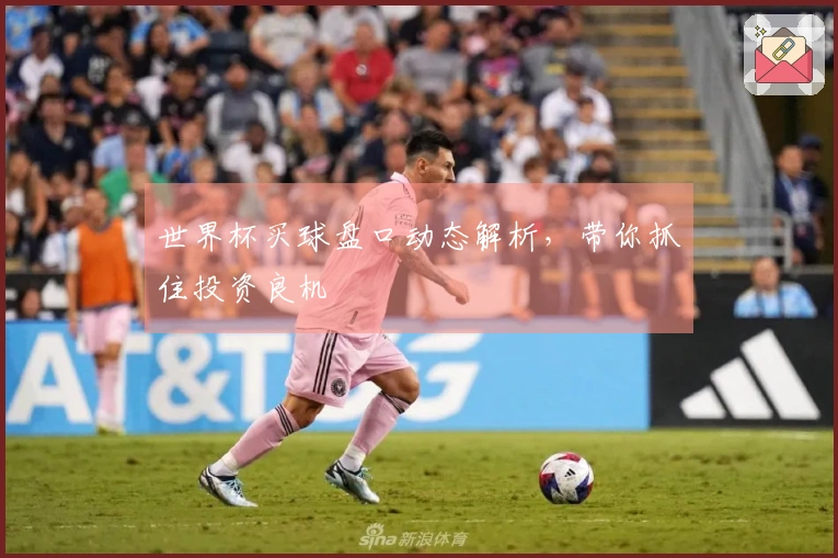 世界杯买球盘口动态解析，带你抓住投资良机