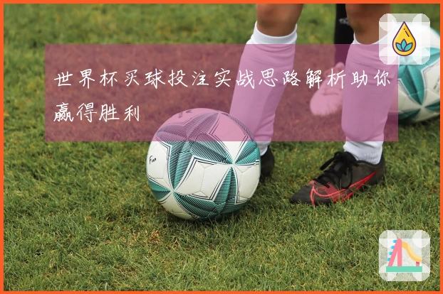 世界杯买球投注实战思路解析助你赢得胜利