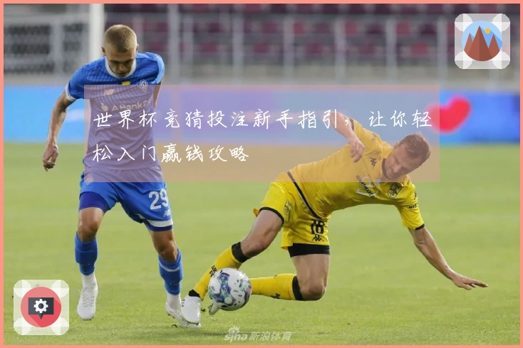 世界杯竞猜投注新手指引，让你轻松入门赢钱攻略