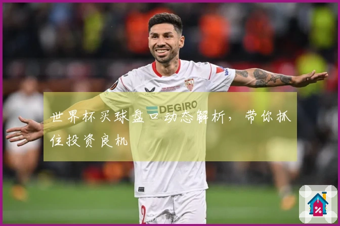 世界杯买球盘口动态解析，带你抓住投资良机