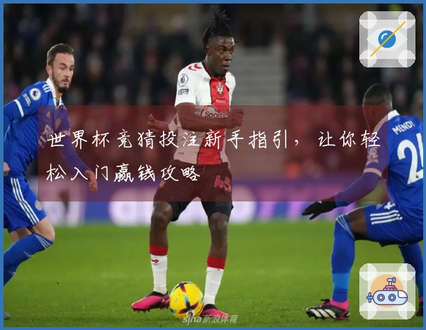 世界杯竞猜投注新手指引，让你轻松入门赢钱攻略