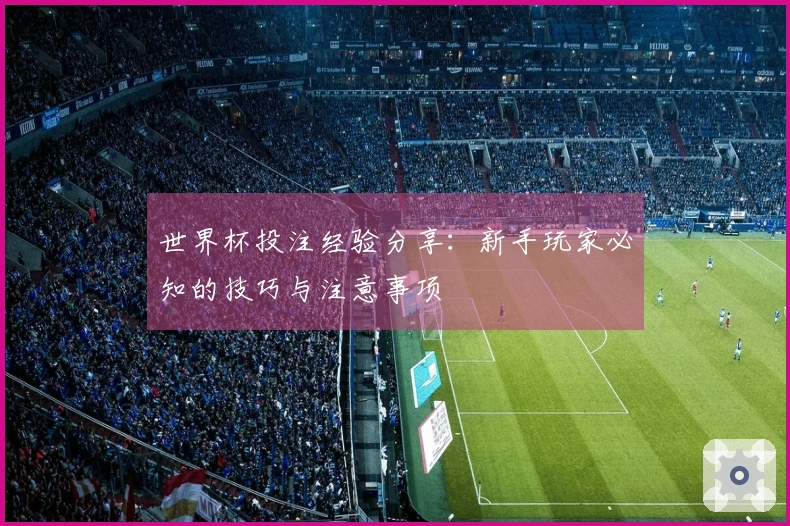 世界杯投注经验分享：新手玩家必知的技巧与注意事项