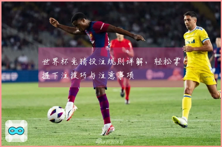 世界杯竞猜投注规则详解，轻松掌握下注技巧与注意事项