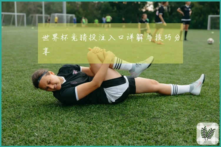 世界杯竞猜投注入口详解与技巧分享