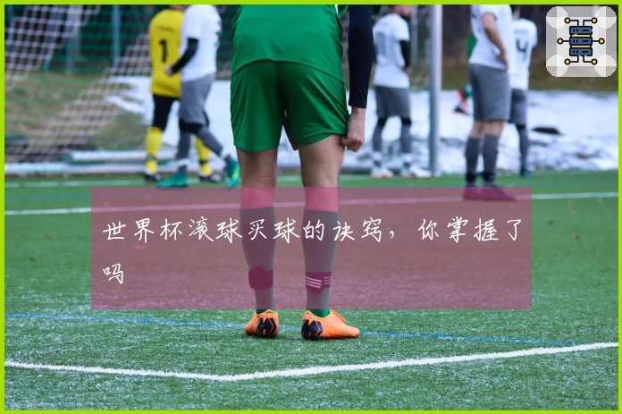 世界杯滚球买球的诀窍，你掌握了吗