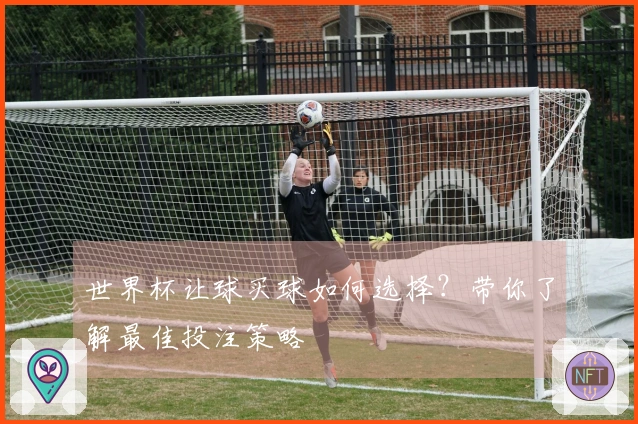 世界杯让球买球如何选择？带你了解最佳投注策略