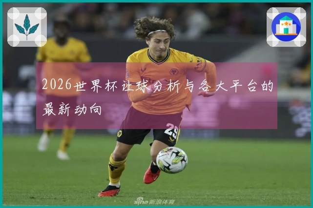 2026世界杯让球分析与各大平台的最新动向