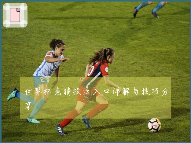 世界杯竞猜投注入口详解与技巧分享