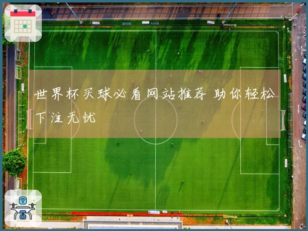 世界杯买球必看网站推荐 助你轻松下注无忧