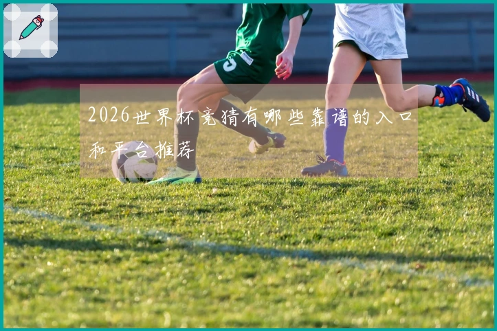 2026世界杯竞猜有哪些靠谱的入口和平台推荐
