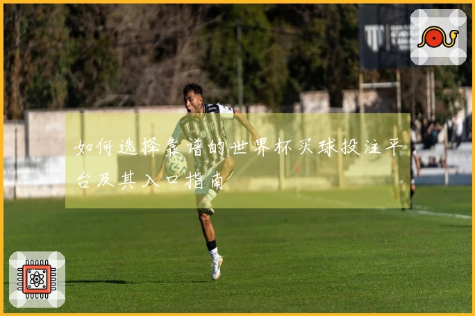 如何选择靠谱的世界杯买球投注平台及其入口指南