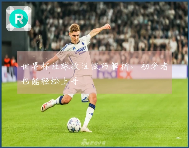 世界杯让球投注技巧解析，初学者也能轻松上手