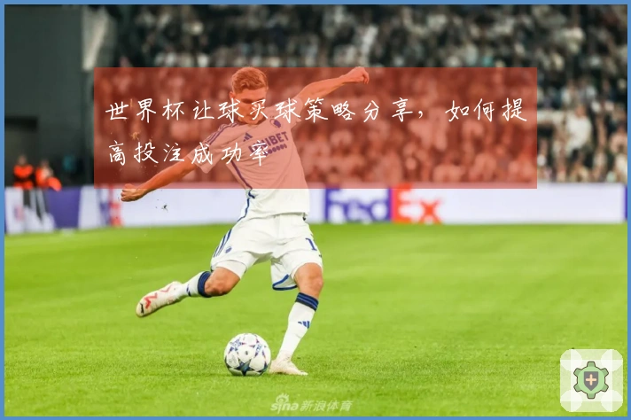 世界杯让球买球策略分享，如何提高投注成功率
