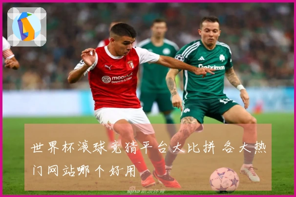 世界杯滚球竞猜平台大比拼 各大热门网站哪个好用